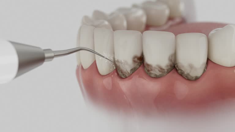 Reliable Dental contractor in Haslett, MI by Dentist Open Now